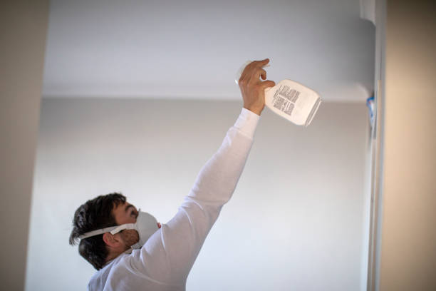 Best Mold Cleaning Services  in Clinton, IL