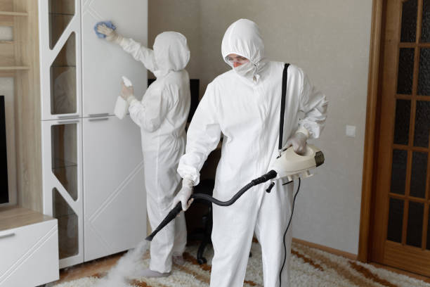 Best Same-Day Mold Removal  in Clinton, IL