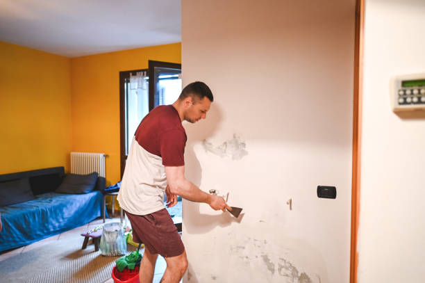 Best Certified Mold Removal  in Clinton, IL